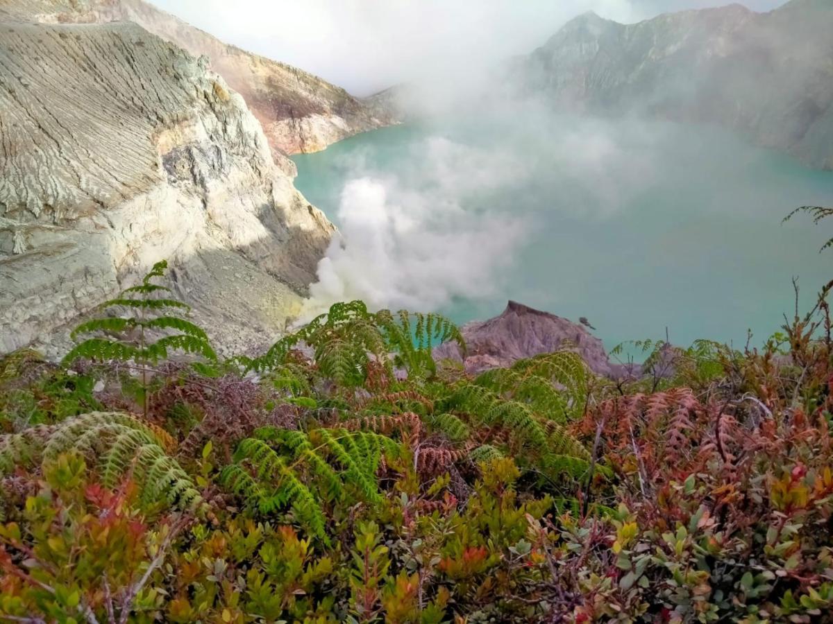 Javalindra Homestay Tour And Travel Banyuwangi  Zewnętrze zdjęcie