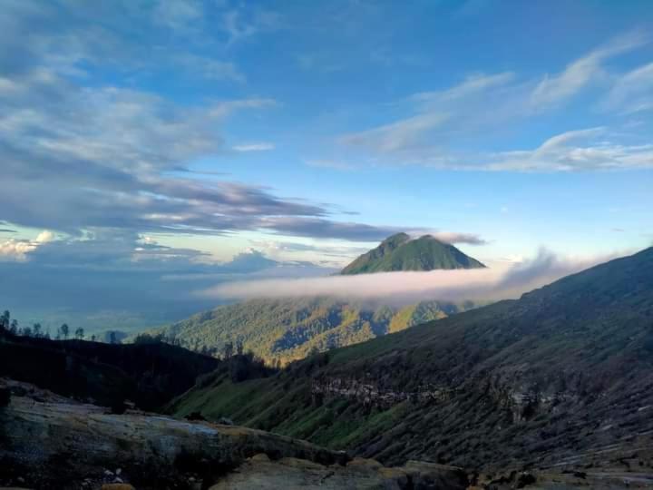 Javalindra Homestay Tour And Travel Banyuwangi  Zewnętrze zdjęcie