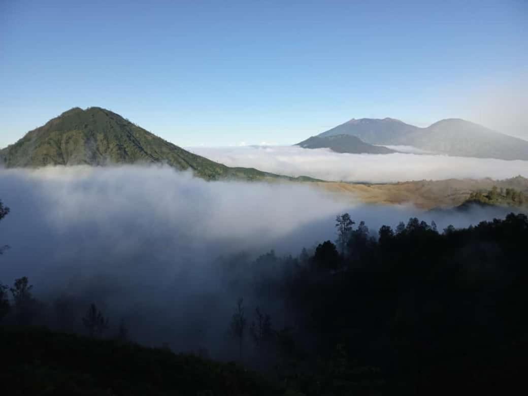 Javalindra Homestay Tour And Travel Banyuwangi  Zewnętrze zdjęcie