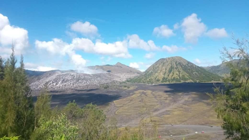 Javalindra Homestay Tour And Travel Banyuwangi  Zewnętrze zdjęcie