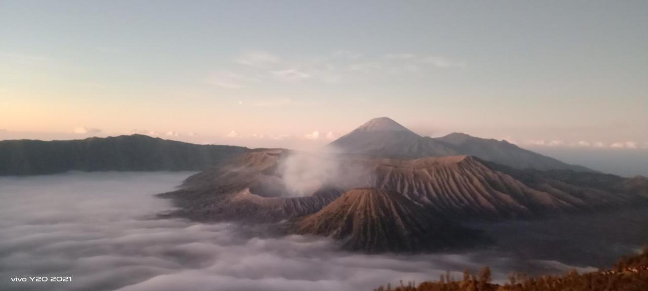Javalindra Homestay Tour And Travel Banyuwangi  Zewnętrze zdjęcie