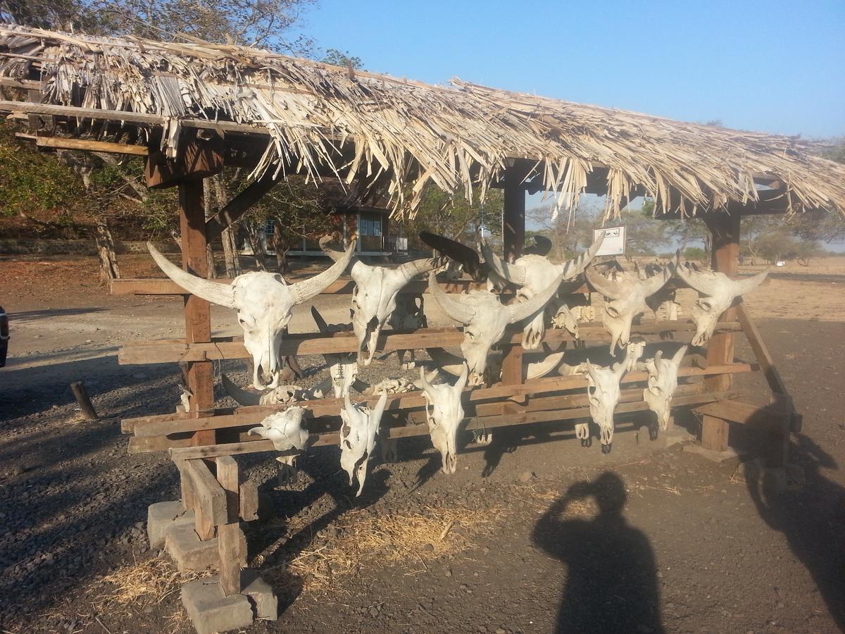 Javalindra Homestay Tour And Travel Banyuwangi  Zewnętrze zdjęcie