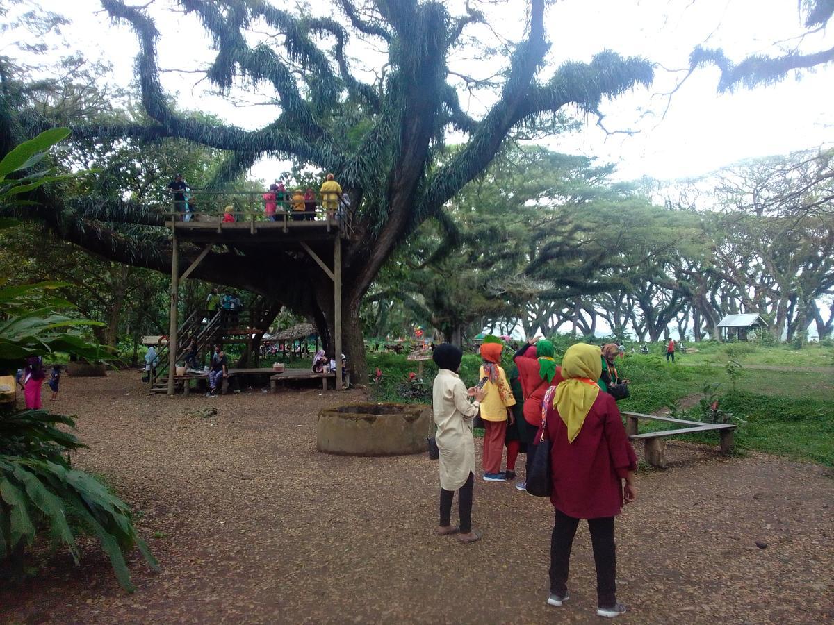 Javalindra Homestay Tour And Travel Banyuwangi  Zewnętrze zdjęcie