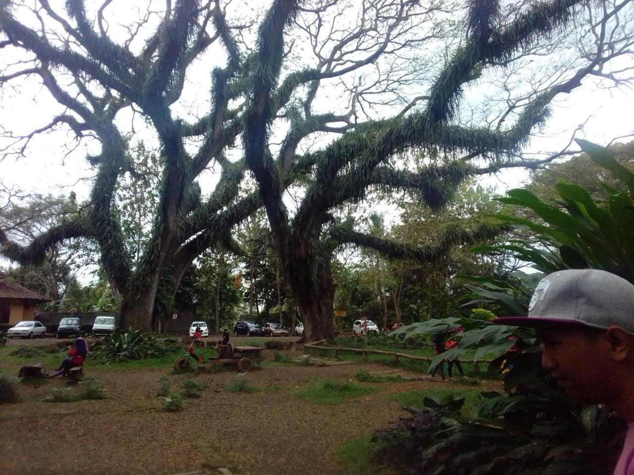 Javalindra Homestay Tour And Travel Banyuwangi  Zewnętrze zdjęcie